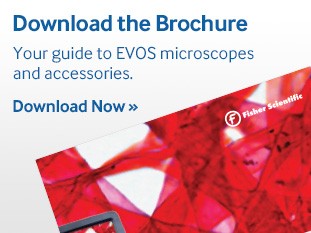 evos-microscopes-guide