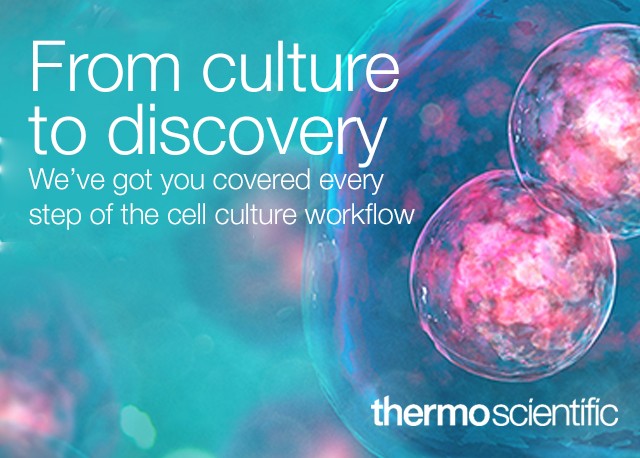 From Culture to Discovery, We've got you covered every step of the cell culture workflow.