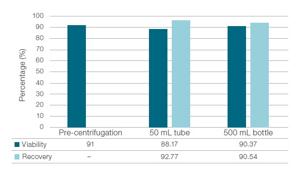 Figure 5: Viability and recovery of T-cells