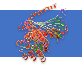 Recombinant Proteins