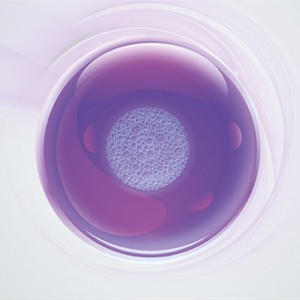 cellculture-basics