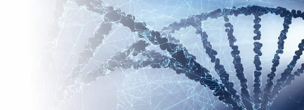 RNA Isolation & Purification Kits