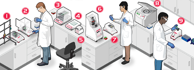 The Complete Laboratory Interactive Guide