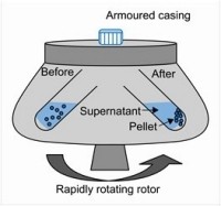 Sedimentation principles