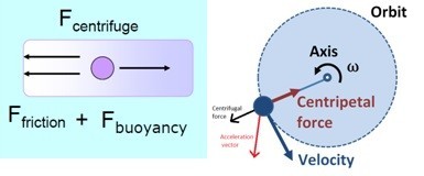 Two forces counteract the centrifugal force acting on the suspended particles