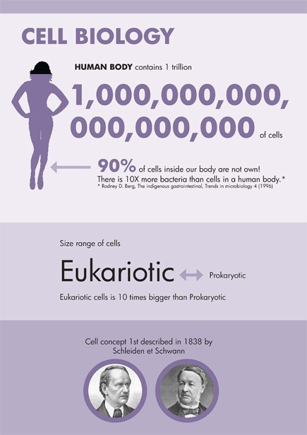 Cell Biology in numbers