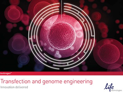 transfection