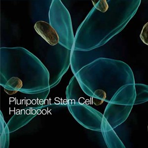 stem-cell