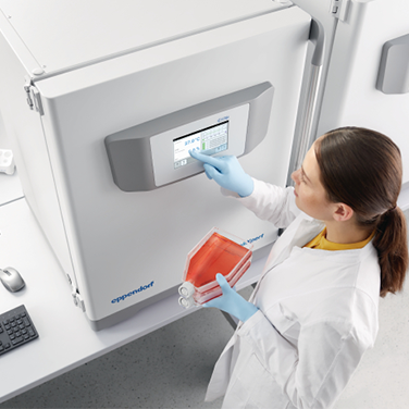 Scientist using an incubator