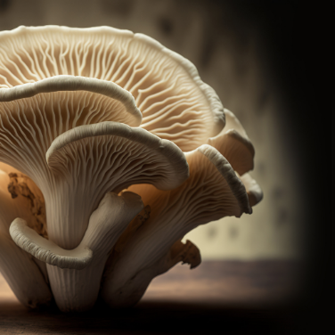 Fungal Future: Exploring the Potential of Mushroom Computing