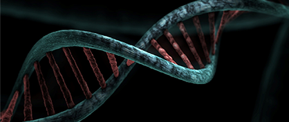 20482_DNA_Science_Facts_April