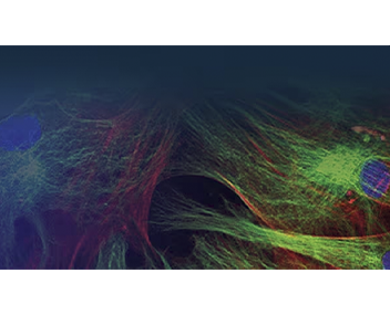 Fluorescent Dyes and Probes